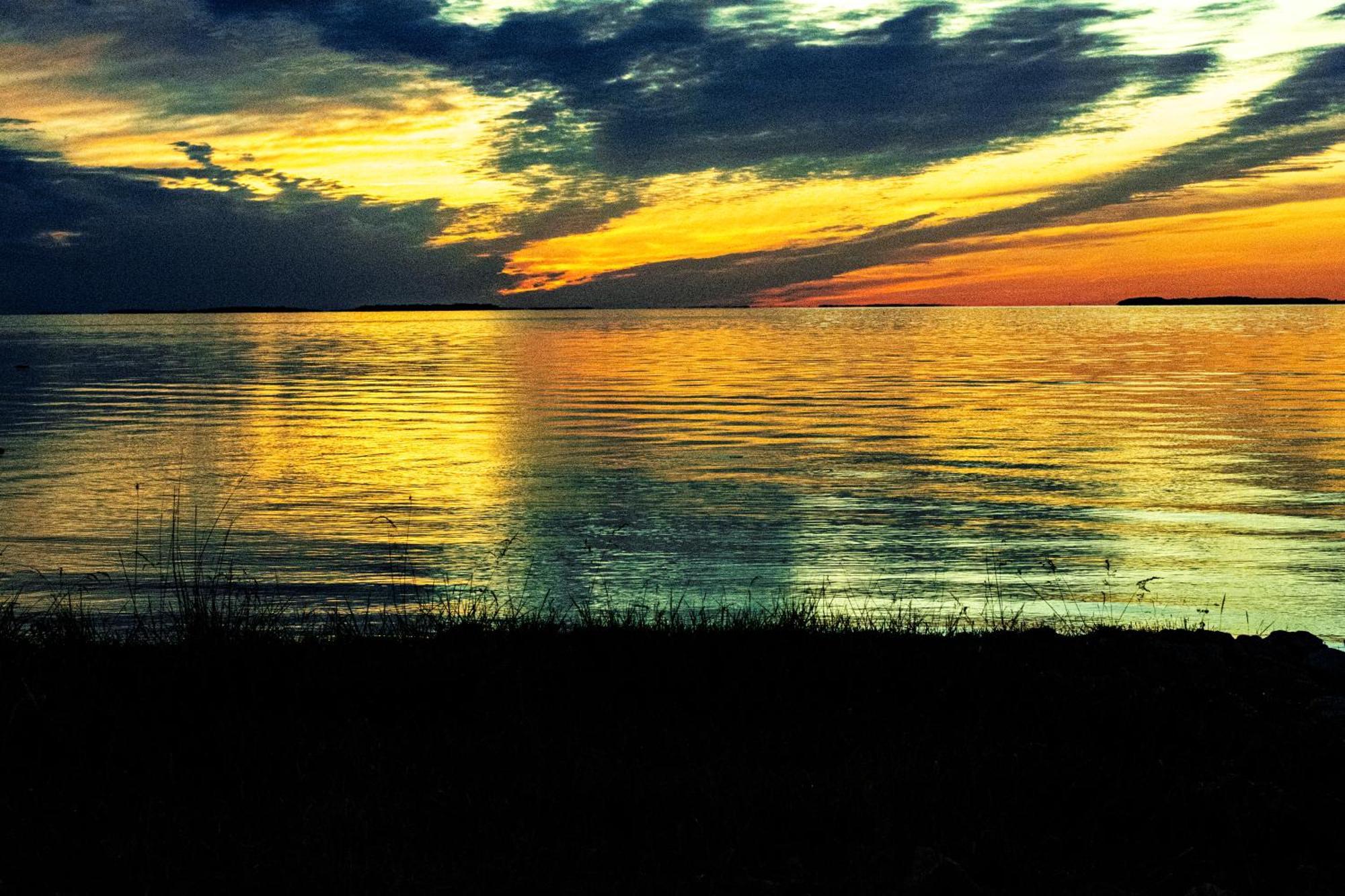 Muhusi Linnumaja Igaküla Buitenkant foto